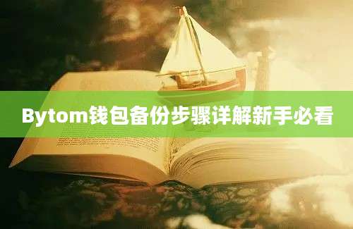 Bytom钱包备份步骤详解新手必看