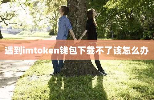 遇到imtoken钱包下载不了该怎么办