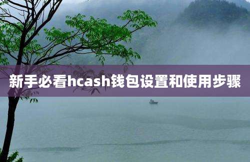 新手必看hcash钱包设置和使用步骤