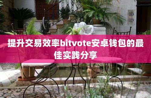 提升交易效率bitvote安卓钱包的最佳实践分享