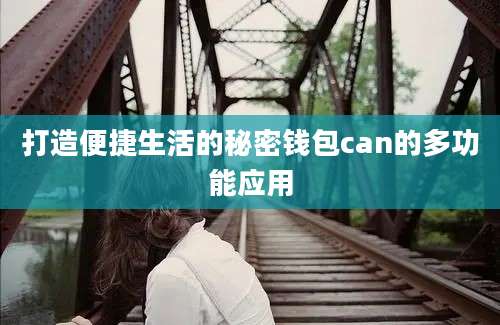 打造便捷生活的秘密钱包can的多功能应用