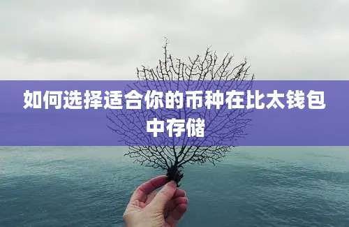 如何选择适合你的币种在比太钱包中存储