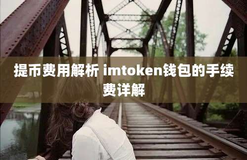 提币费用解析 imtoken钱包的手续费详解