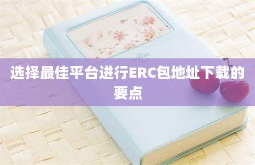 选择最佳平台进行ERC包地址下载的要点