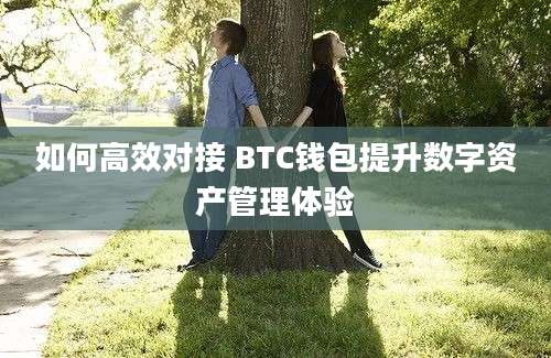 如何高效对接 BTC钱包提升数字资产管理体验