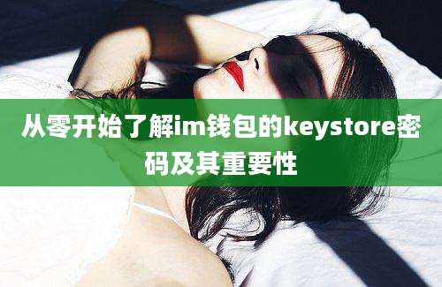 从零开始了解im钱包的keystore密码及其重要性