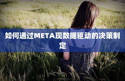 如何通过META现数据驱动的决策制定