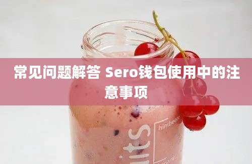 常见问题解答 Sero钱包使用中的注意事项