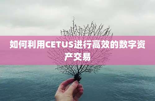 如何利用CETUS进行高效的数字资产交易