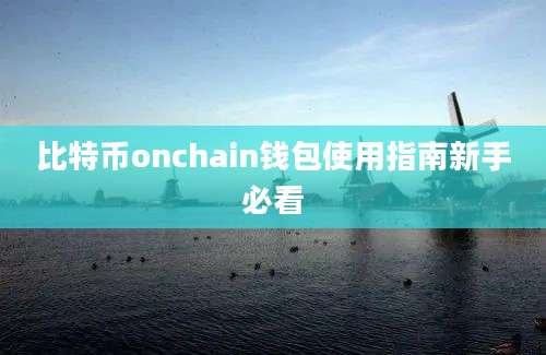 比特币onchain钱包使用指南新手必看