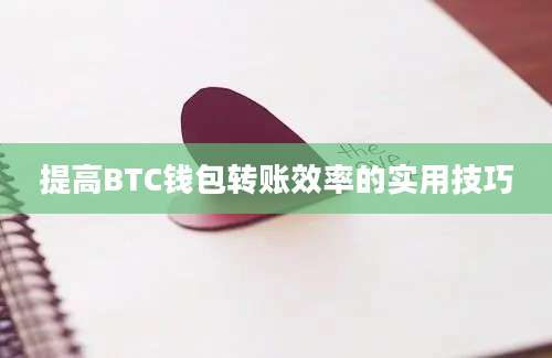 提高BTC钱包转账效率的实用技巧