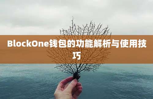 BlockOne钱包的功能解析与使用技巧