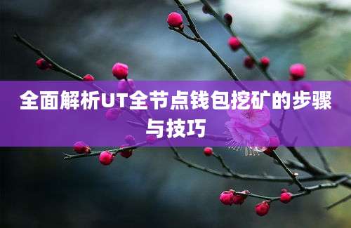 全面解析UT全节点钱包挖矿的步骤与技巧