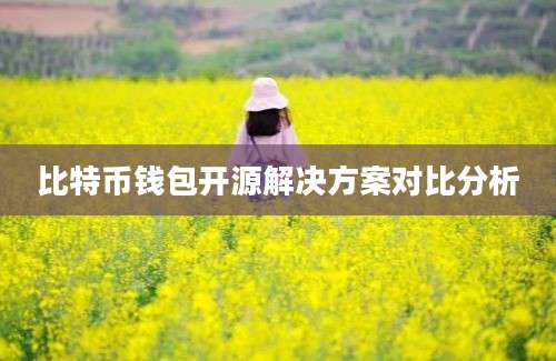 比特币钱包开源解决方案对比分析