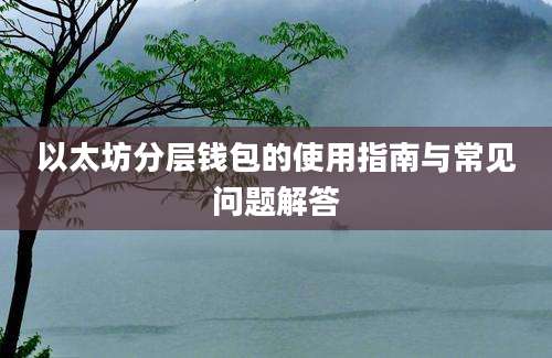 以太坊分层钱包的使用指南与常见问题解答