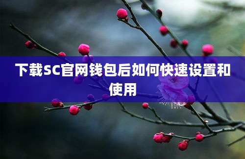 下载SC官网钱包后如何快速设置和使用