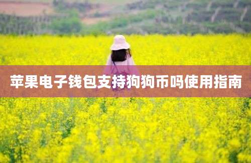 苹果电子钱包支持狗狗币吗使用指南