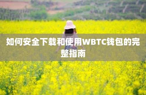 如何安全下载和使用WBTC钱包的完整指南