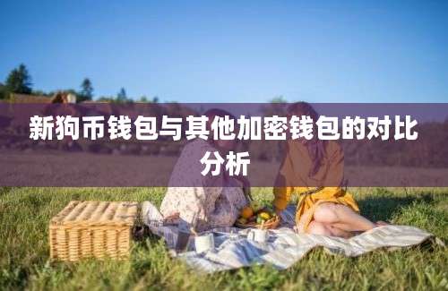 新狗币钱包与其他加密钱包的对比分析