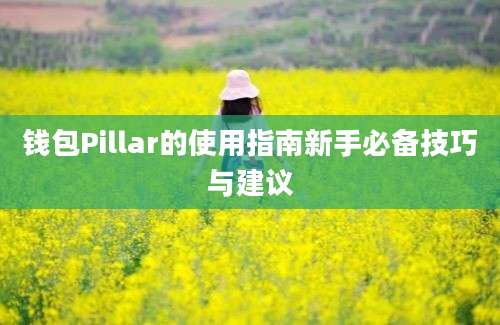 钱包Pillar的使用指南新手必备技巧与建议