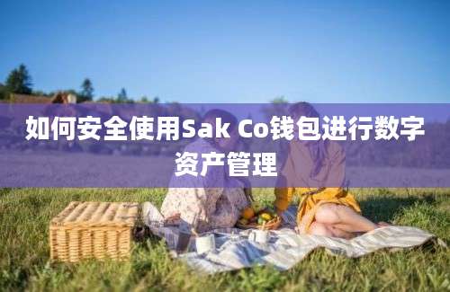 如何安全使用Sak Co钱包进行数字资产管理