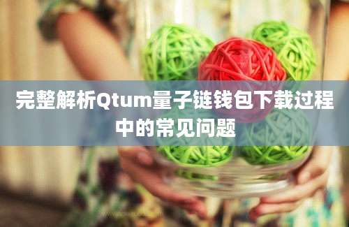 完整解析Qtum量子链钱包下载过程中的常见问题