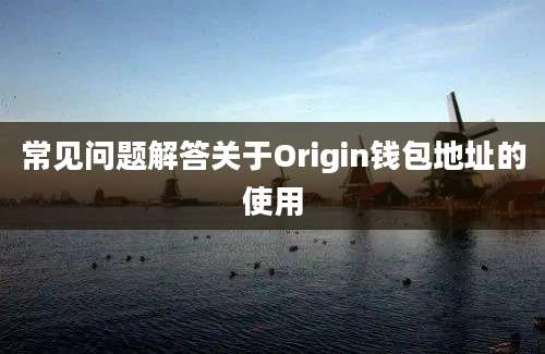 常见问题解答关于Origin钱包地址的使用