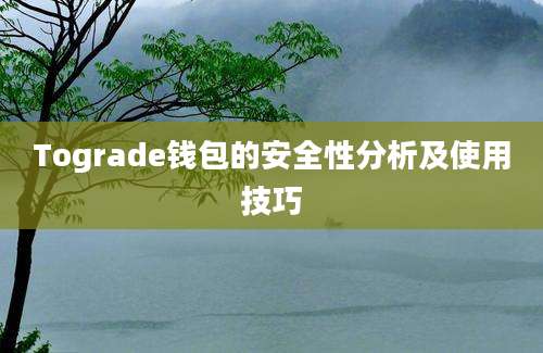 Tograde钱包的安全性分析及使用技巧