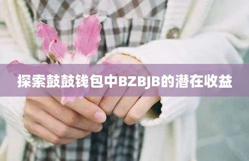 探索鼓鼓钱包中BZBJB的潜在收益