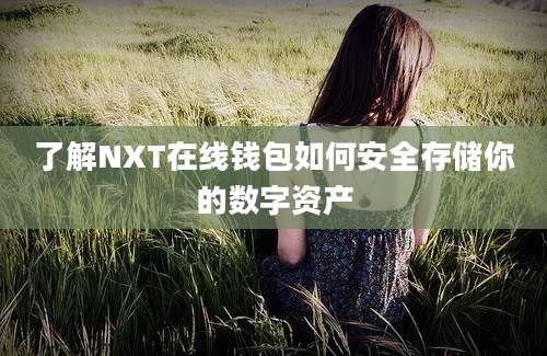 了解NXT在线钱包如何安全存储你的数字资产