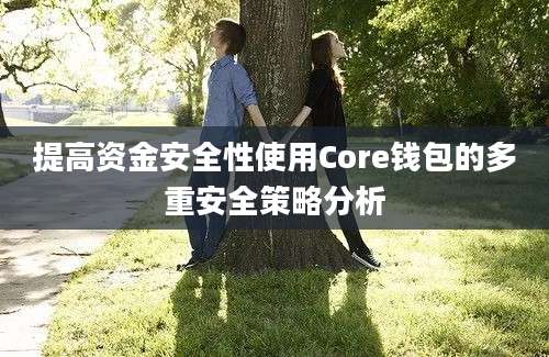 提高资金安全性使用Core钱包的多重安全策略分析